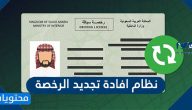 نظام افادة تجديد الرخصة بالخطوات التفصيلية 2023