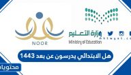 هل الابتدائي يدرسون عن بعد 1443