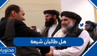هل طالبان شيعة