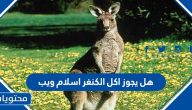 هل يجوز اكل الكنغر اسلام ويب