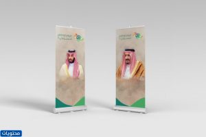 استكرات اليوم الوطني 91