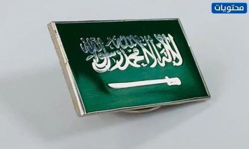 أجمل صور بروشات اليوم الوطني السعودي 2021