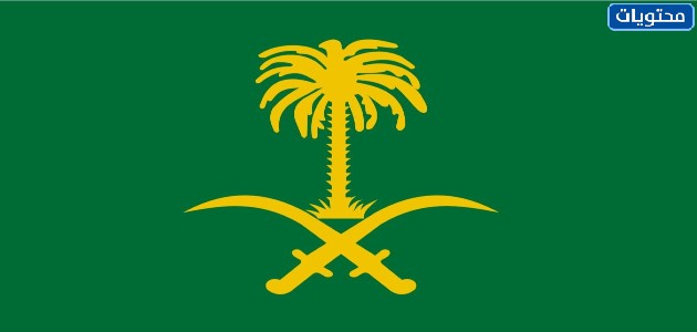 صور سيفين ونخله