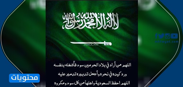 صور اليوم الوطني السعودي 91