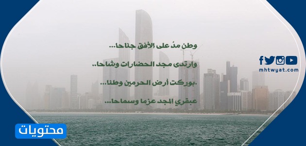 صور اليوم الوطني السعودي 91