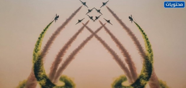 رمزيات اليوم الوطني السعودي 91