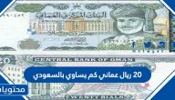20 ريال عماني كم يساوي بالسعودي