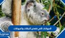 الحيوانات التي تتغذى النباتات والحيوانات