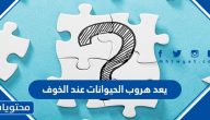 يعد هروب الحيوانات عند الخوف