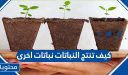 كيف تنتج النباتات نباتات اخرى