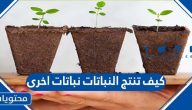 كيف تنتج النباتات نباتات اخرى