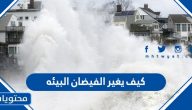كيف يغير الفيضان البيئه