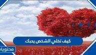 كيف تخلي الشخص يحبك