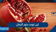 اين توجد بذور الرمان