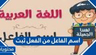 اسم الفاعل من الفعل ثبت