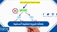 جمله خبريه منفيه اسميه