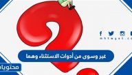غير وسوى من أدوات الاستثناء وهما