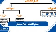 اسم الفاعل من سلم