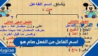 اسم الفاعل من الفعل صام هو