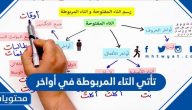 تأتي التاء المربوطة في أواخر