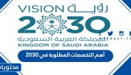 أهم التخصصات المطلوبة في 2030 للعمل في السوق السعودي