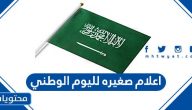 اعلام صغيره لليوم الوطني السعودي 95