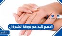 الاصبع لليد هو كورقة الشجرة ل