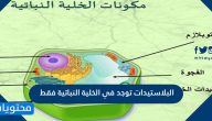 البلاستيدات توجد في الخلية النباتية فقط صح أم خطأ