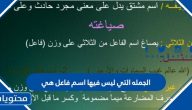 الجمله التي ليس فيها اسم فاعل هي