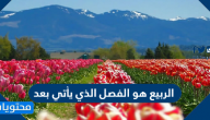 الربيع هو الفصل الذي يأتي بعد