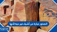 الصخور عبارة عن أشياء غير حية لأنها