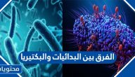 الفرق بين البدائيات والبكتيريا