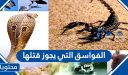 الفواسق التي يجوز قتلها