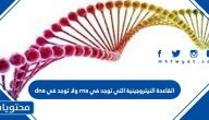 القاعدة النيتروجينية التي توجد في rna ولا توجد في dna