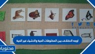 اوجه الاختلاف بين المخلوقات الحية والاشياء غير الحية