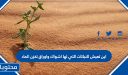 اين تعيش النباتات التي لها اشواك واوراق تخزن الماء