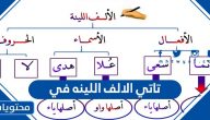 تاتي الالف اللينه في