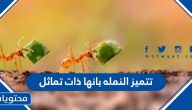 تتميز النمله بانها ذات تماثل