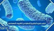 تركيب تفرزه البكتيريا للحماية من الظروف الصعبة هو