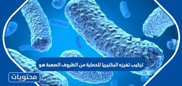 تركيب تفرزه البكتيريا للحماية من الظروف الصعبة هو