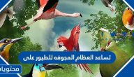 تساعد العظام المجوفه للطيور على