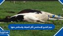 حرم الشرع الإسلامي أكل الميتة، واستثنى منها