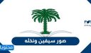 صور سيفين ونخله 1448جديدة وبجودة عالية