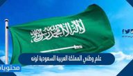 علم وطني المملكة العربية السعودية لونه