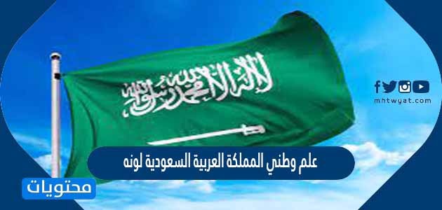 علم وطني المملكة العربية السعودية لونه