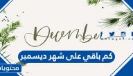كم باقي على شهر ديسمبر