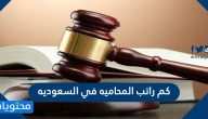 كم راتب المحاميه في السعوديه 2025