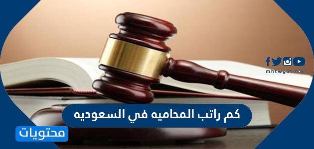 كم راتب المحاميه في السعوديه 2024