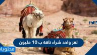 لغز واحد شراء ناقة ب 10 مليون