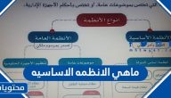 ما هي الانظمه الاساسيه